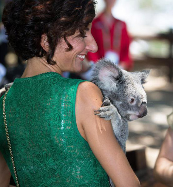 Agnese e il koala